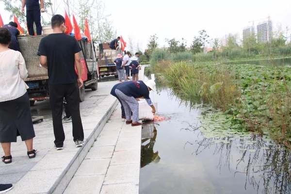 济宁市太白湖新区管理委员会 太白湖要闻 我区开展投鱼灭蚊集中活动